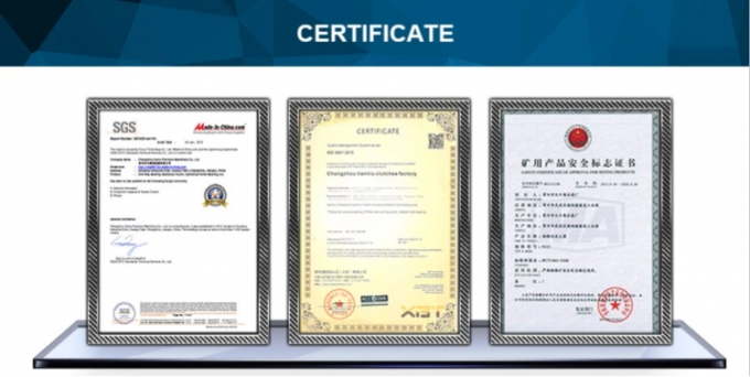 GV 70 مؤخرة التشابك واحد الاتجاه كام التشابك عجلة تحمل GV سلسلة التشابك المفرط 10